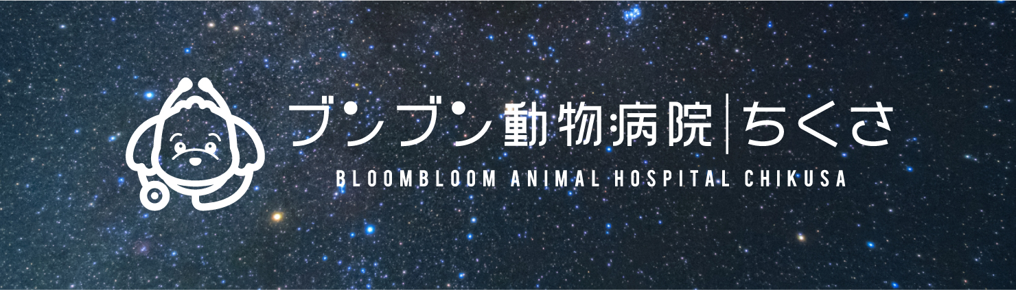 ブンブン動物病院 | ちくさ 夜間診療診療受付