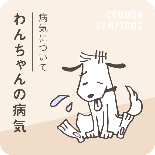 わんちゃんの病気,病気について,COMMON SYMPTOMS